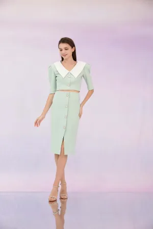 Gerilynn Mint Pencil Skirt